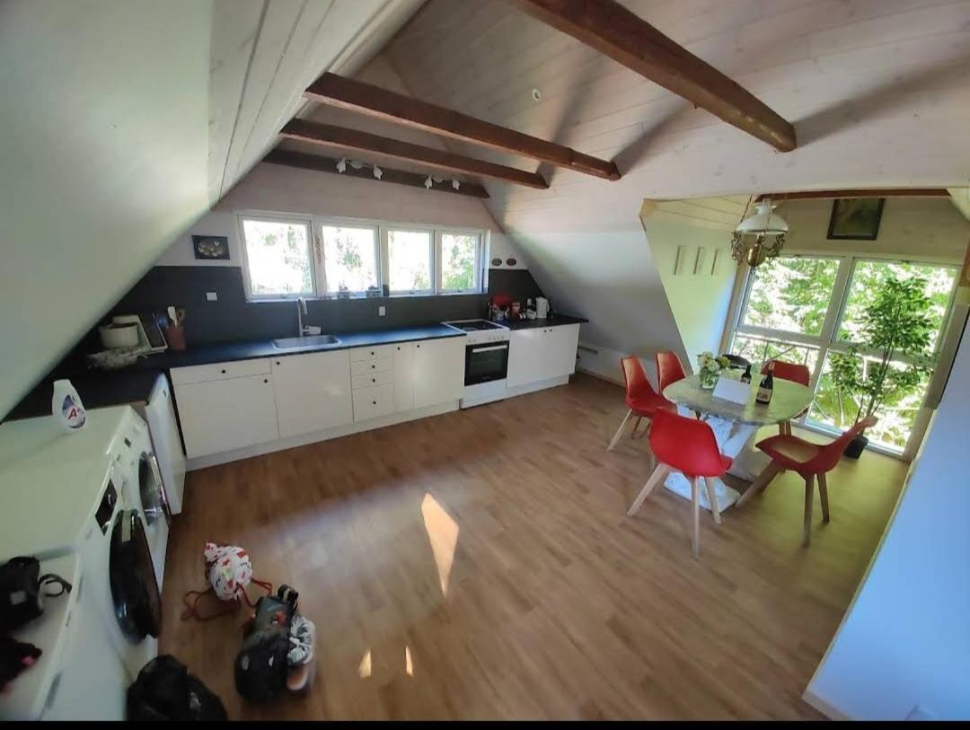 The Parrot Hotel, Live In A Rescue Animal Park Apartment *