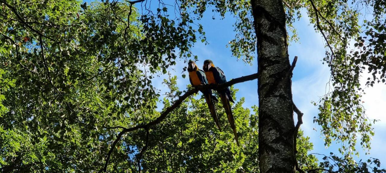 Apartment The Parrot Hotel, Live In A Rescue Animal Park Naestved