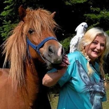 The Parrot Hotel, Live In A Rescue Animal Park * Naestved
