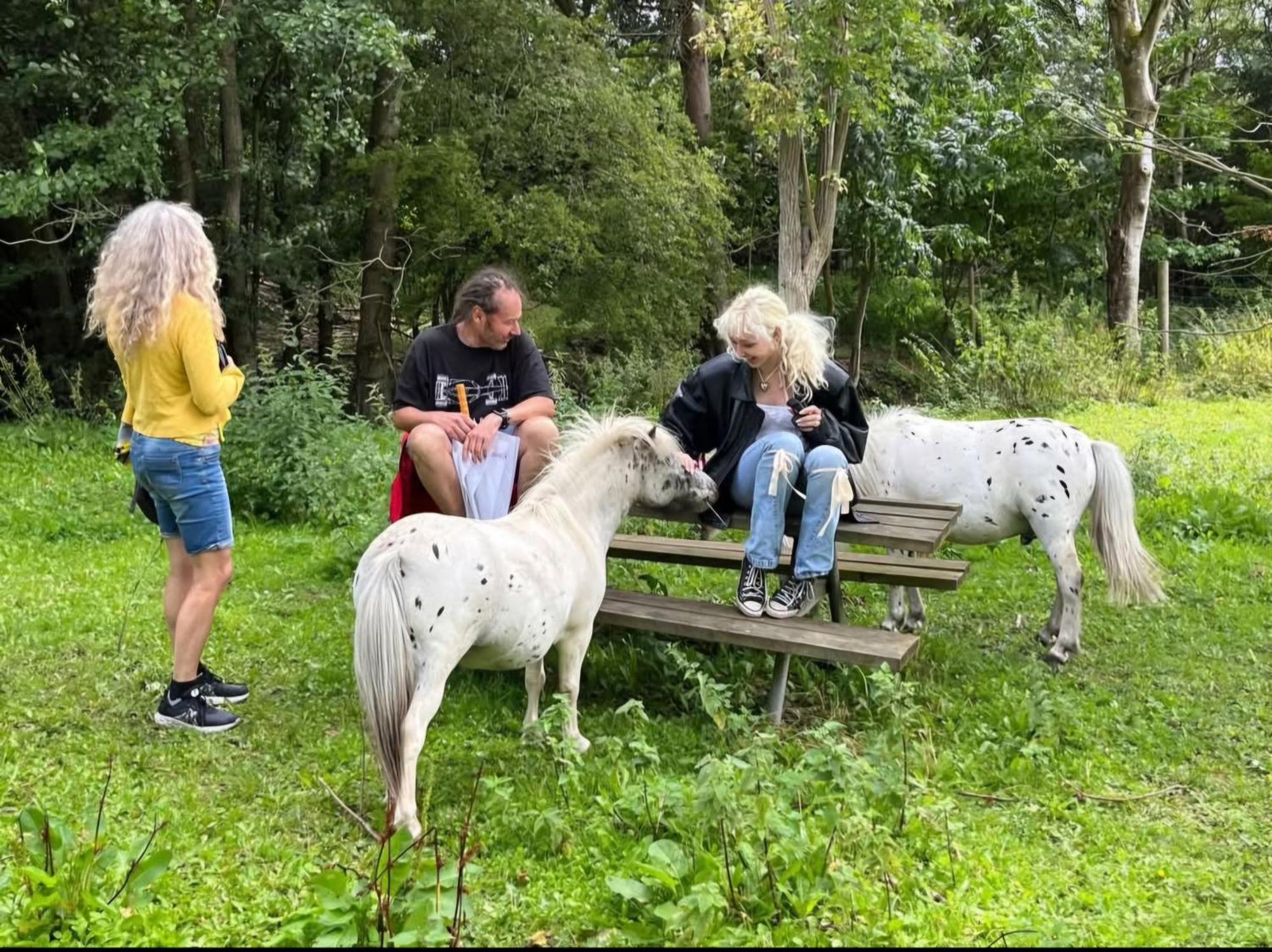 The Parrot Hotel, Live In A Rescue Animal Park * Naestved