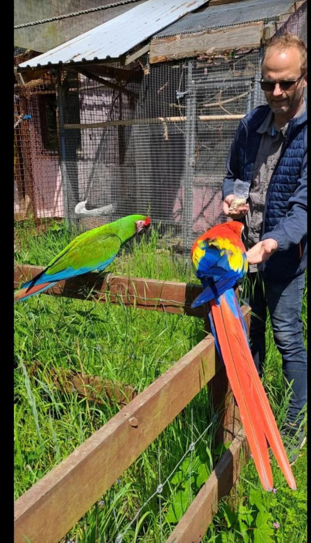 The Parrot Hotel, Live In A Rescue Animal Park * Naestved